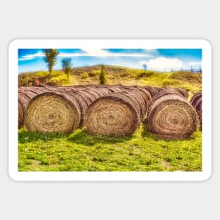 Hay Bales 5 Sticker